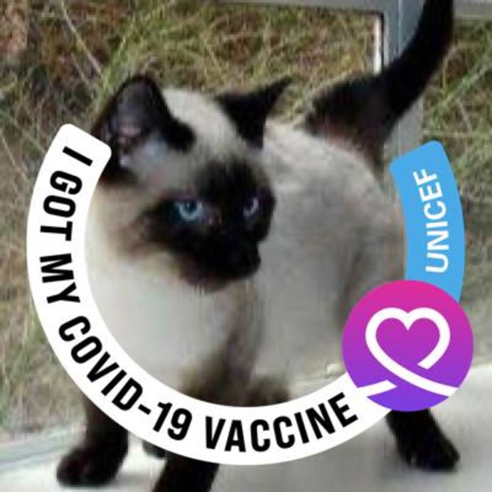 Meet your Posher, Virginia